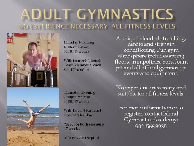 Adult Gymnastics